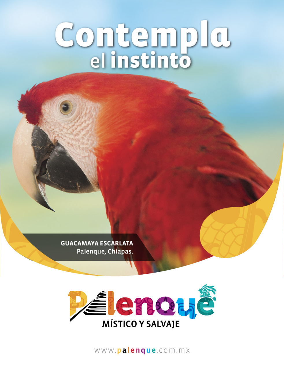CARTELES CONTEMPLA EL INSTINTO-1